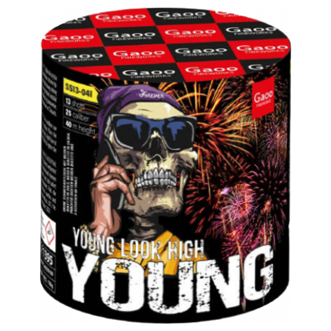 Gaoo Young