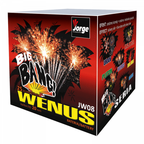 Jorge Wenus