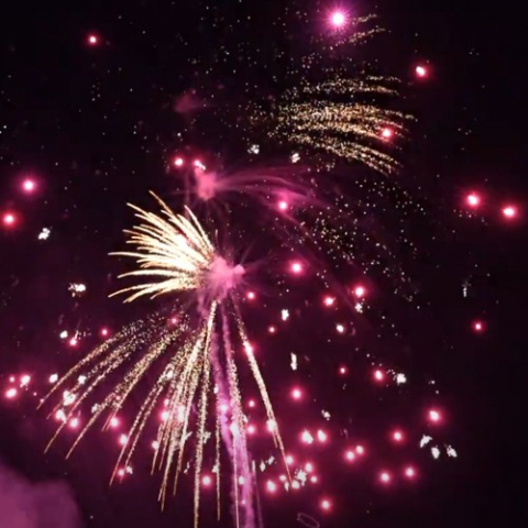 SRPYRO Gold Pinkflower
