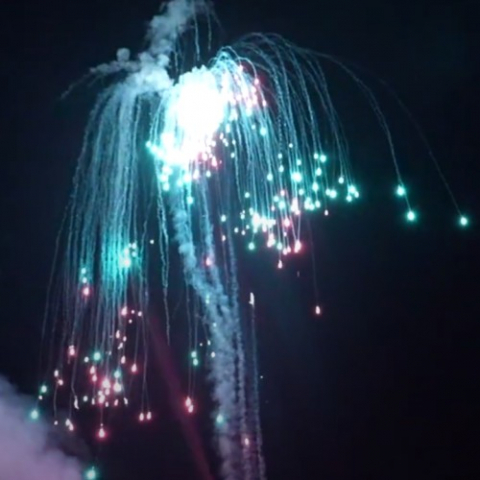 SRPYRO Pink Green Falling Leaves