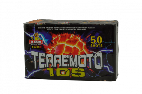 Terremoto 10s