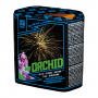 Argento Orchid – edel, farbintensiv und faszinierend!