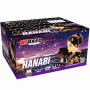 Riakeo Hanabi