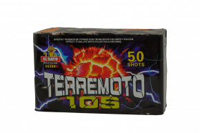 Terremoto 10s