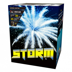 Jorge Storm