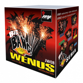 Jorge Wenus